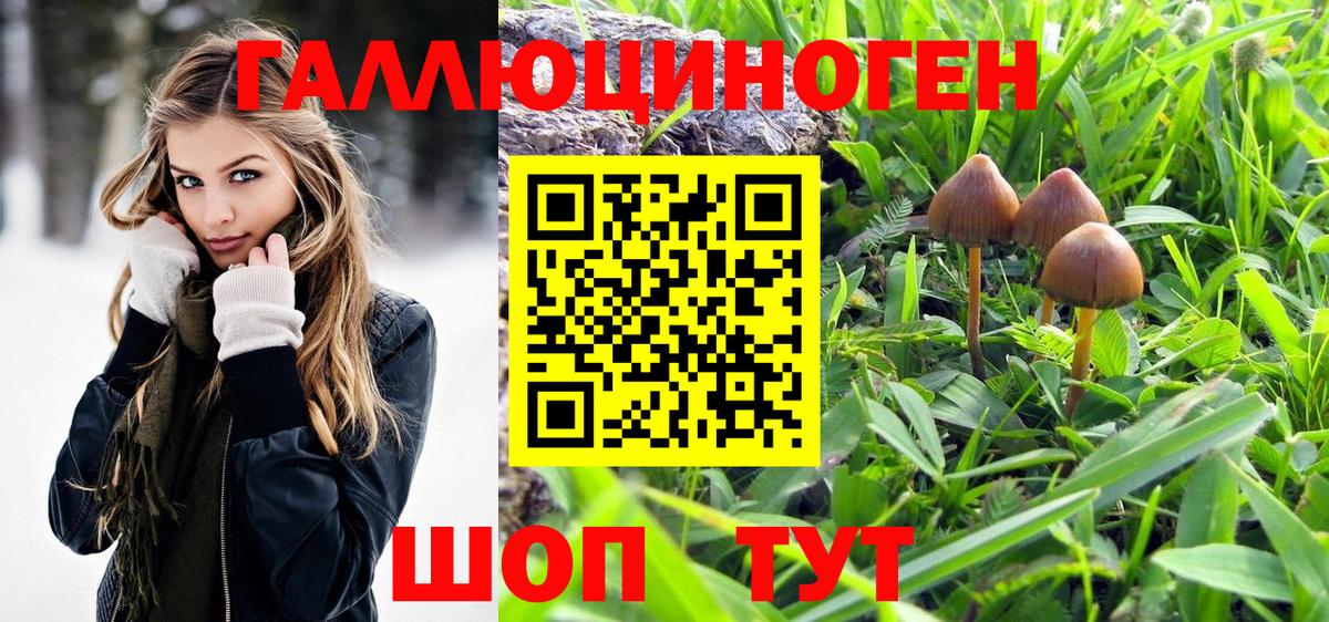 Ревда  купить закладку  Вход с VPN  Псилоцибиновые грибы Magic Shrooms 