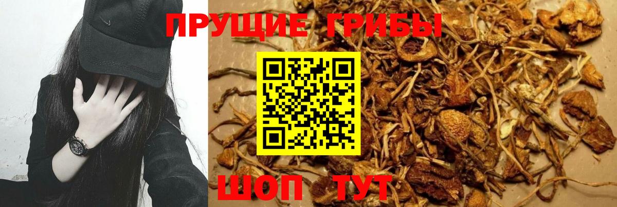 Псилоцибиновые грибы ЛСД Ревда